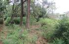 Land at Bogani Rd - 2