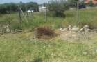 0.25 ac Residential Land in Ongata Rongai - 12