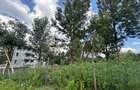 0.5 ac Land in Ngong - 3