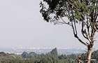 2 ac Land at Off Tigoni - Kabuku Rd - 9