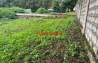 0.05 ha Commercial Land in Kikuyu Town - 4