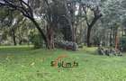 5 Bed House with En Suite at Kitisuru Rd - 2