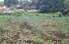 Commercial Land in Ngong - 10