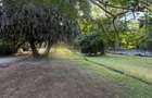 Commercial Land in Diani - 12