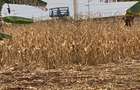 15 ac Land at Thika Road - 8