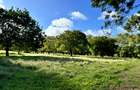 Land in Vipingo - 2
