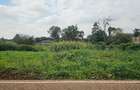 0.365 ac Land at Mushroom Road - 3