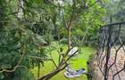 5 Bed House with En Suite in Kyuna - 5
