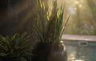 1 Bed Apartment with Swimming Pool at Riverside Drive - 4