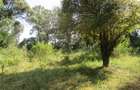 9 ac Land at Karen - 2