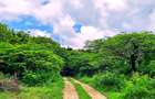 167.5 ac Land at Kuruwitu Beach - 11