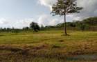 0.5 ac Residential Land at Bomas - 6