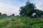 7 ac Land at Mtwapa - 4