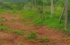 Land in Kilifi County - 12