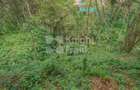 0.5 ac Land at Kitisuru Road - 4