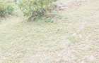 0.75 ac Residential Land at Naivasha Avenue - 1