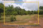 Land in Vipingo - 3