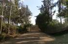 0.4991 ac Land in Roysambu Area - 2