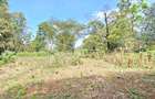Residential Land at Spring Valley Lower Kabete - 12