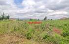 0.125 ac Residential Land at Migumoini - 2