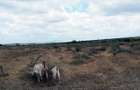 5 ac Residential Land in Athi River - 4
