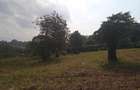 Land in Tigoni - 5