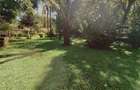 1.2 ac Land at Mageta Road - 3