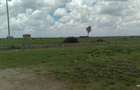 5 ac Land at Segera - 1