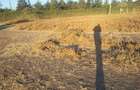 Land in Kitengela - 2