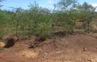 0.25 ac Residential Land at Makutano - 3