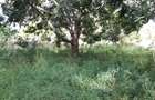 4,047 m² Commercial Land in Kilifi County - 6