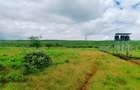 500 m² Residential Land at Ntashart - 4