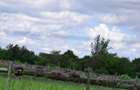 Residential Land at Kitengela Ostrich Farm - 2