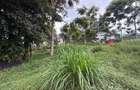 Commercial Property in Waiyaki Way - 2