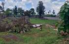 Residential Land at Flem Tree Off Ruaka Road - 13
