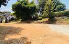 1 ac Land at Banana Raini Road - 4