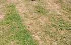 10 ac Land at Mweiga - 4