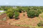 0.045 ha Land at Diani Airport - 4