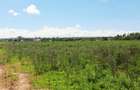 Land at Vipingo - 13