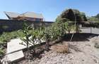 4 Bed House with En Suite at Rimpa - 18