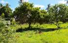 Land at Vipingo - 4