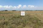 3 ac Land at Mirera - 20