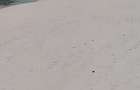Land in Kilifi County - 7