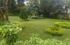 0.75 ac Residential Land at Mageta Road - 3