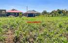 0.125 ac Residential Land at Kamangu - 4