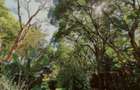 0.78 ac Commercial Land at Mugumo Road - 3