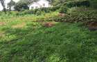 1 ac Land in Karen - 3