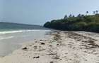 Land at Tiwi - 5