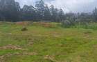 0.044 ha Residential Land at Kikuyu Kamangu - 8