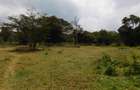 9 ac Land in Karen - 8